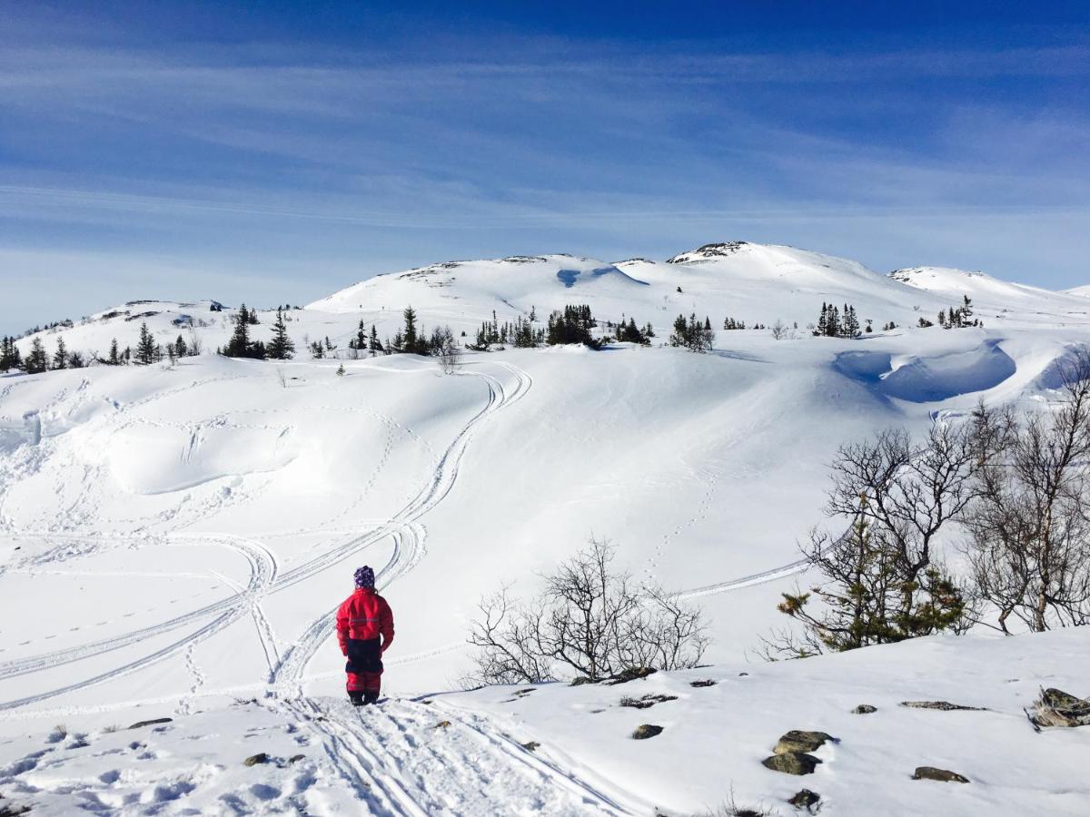 Valagardens Vaerdshus Och Camping Ab Vålådalen Exterior foto